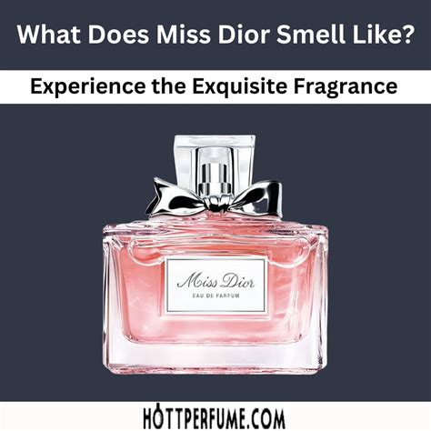 miss dior percume|what does miss dior perfume smell like.